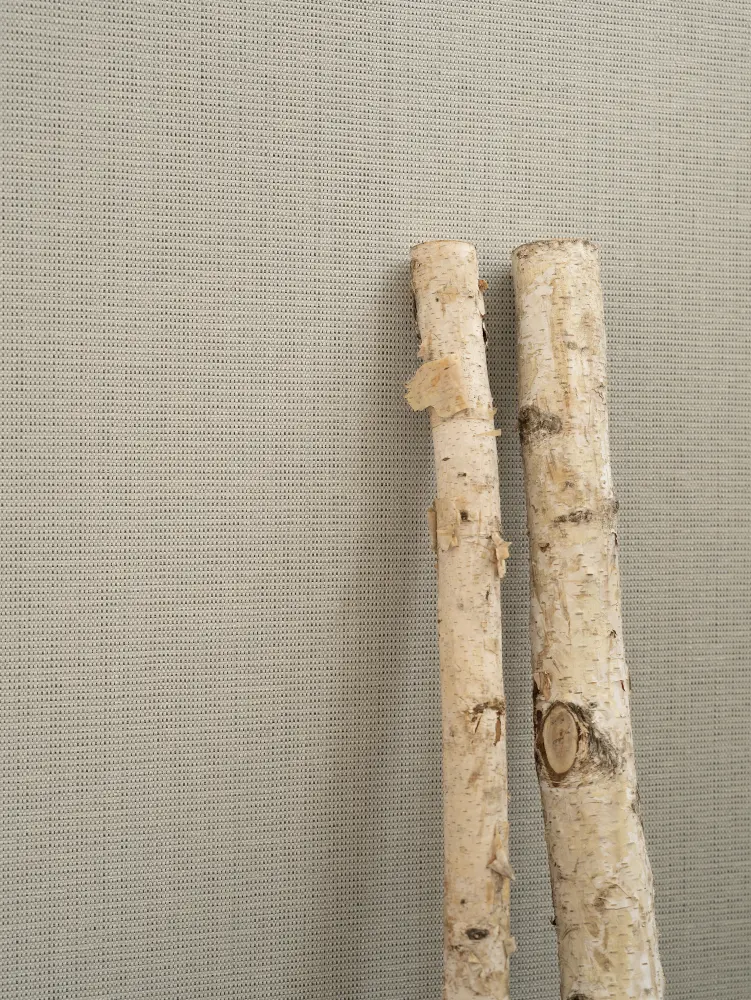 Vescom Birch woven textile wallcovering with subtle slub texture and architectural grid beside two birch branches