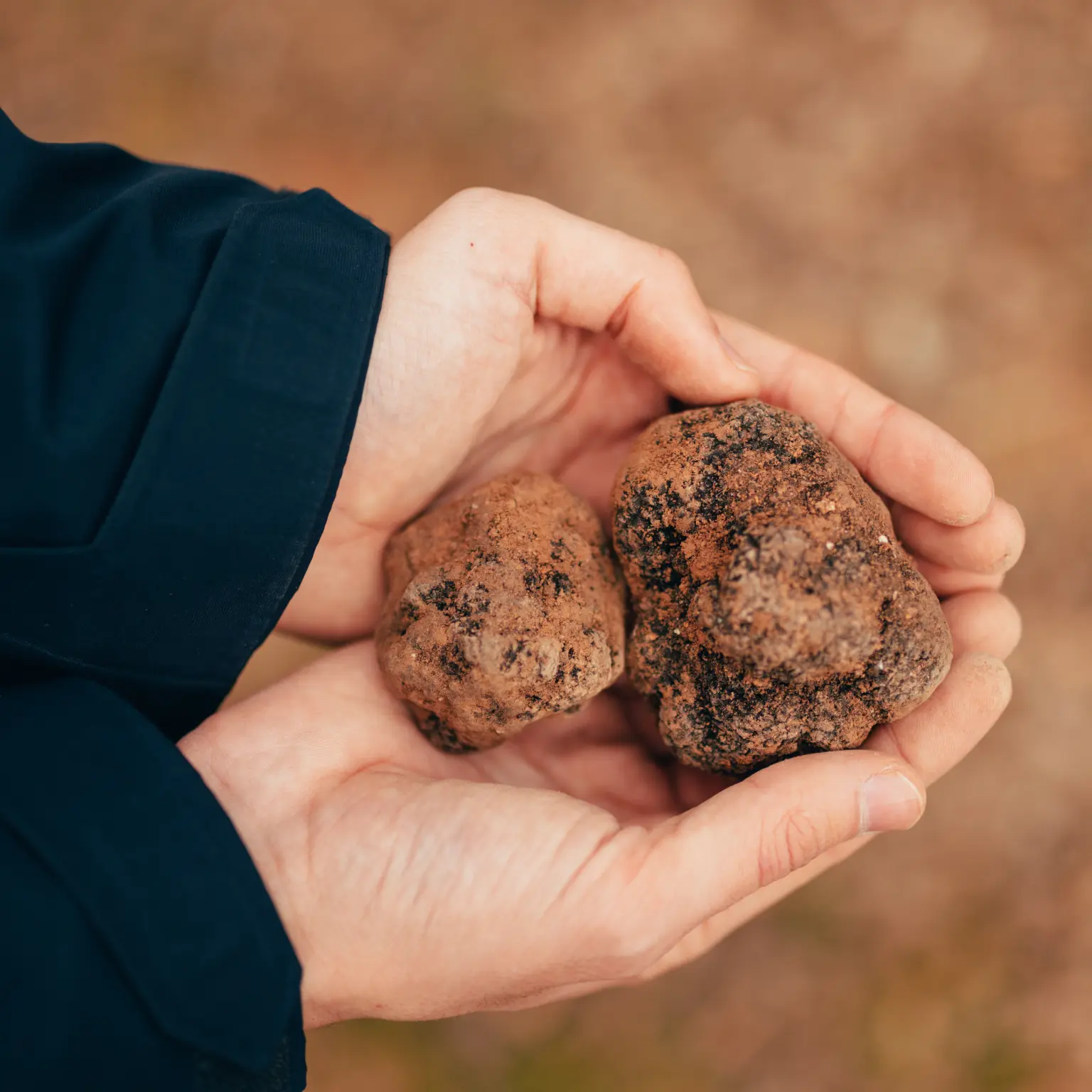 Two hands holding copper-colored stones to showcase the inspiration for Vescom Moon recycled vinyl wallcovering.